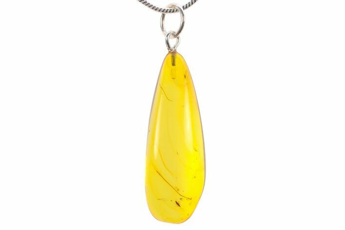 Polished Baltic Amber Pendant (Necklace) - Contains Fly! #270750